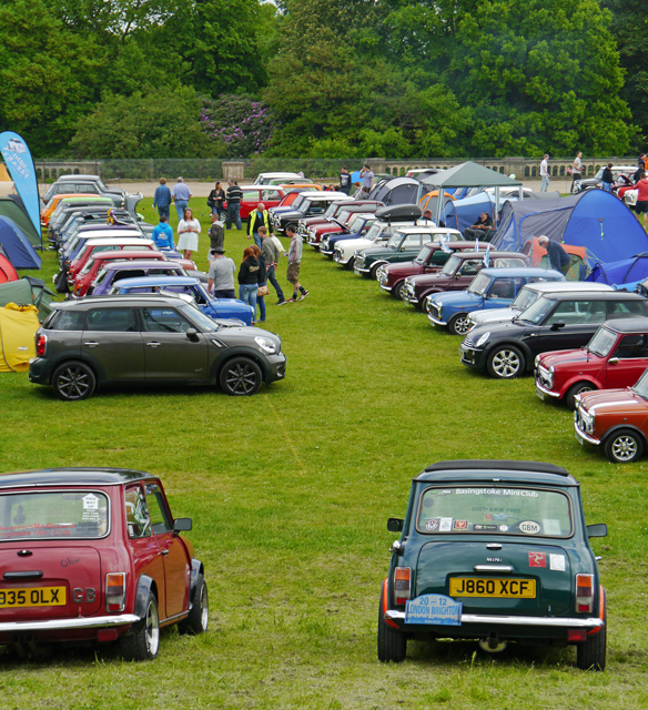 Mooch monkey at the Mini London to Brighton car rally 2103