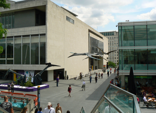 Mooch monkey visits the Portsmouth Pterosaurs on the South Bank