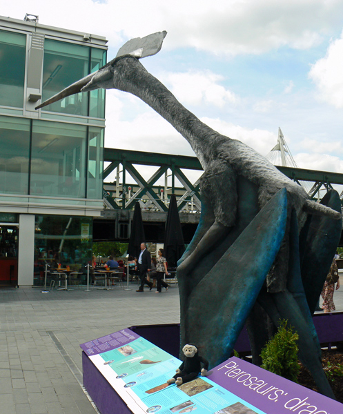 Mooch monkey visits the Portsmouth Pterosaurs on the South Bank