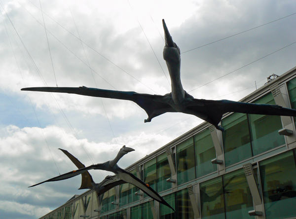 Mooch monkey visits the Portsmouth Pterosaurs on the South Bank