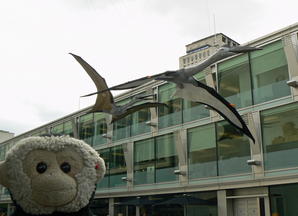 Mooch monkey visits the Portsmouth Pterosaurs on the South Bank