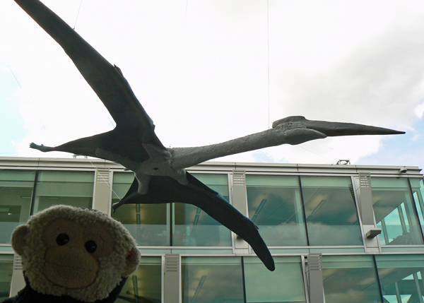 Mooch monkey visits the Portsmouth Pterosaurs on the South Bank