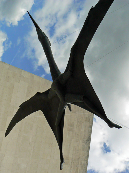 Mooch monkey visits the Portsmouth Pterosaurs on the South Bank