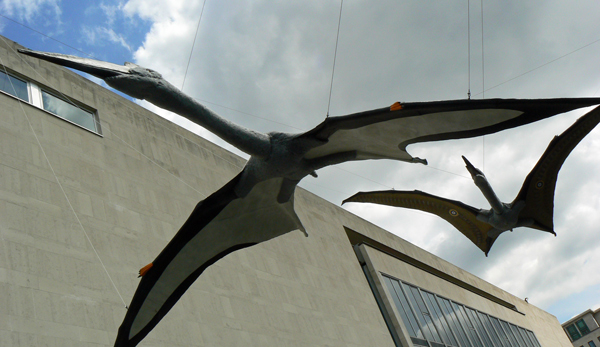 Mooch monkey visits the Portsmouth Pterosaurs on the South Bank