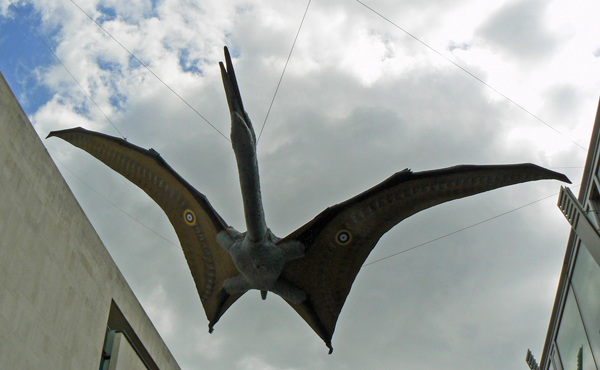 Mooch monkey visits the Portsmouth Pterosaurs on the South Bank