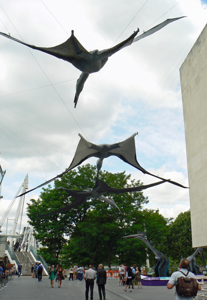 Mooch monkey visits the Portsmouth Pterosaurs on the South Bank