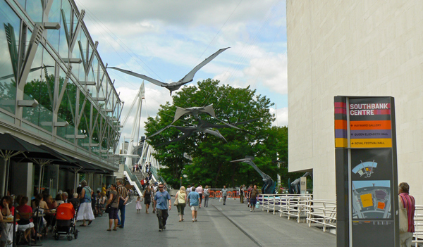 Mooch monkey visits the Portsmouth Pterosaurs on the South Bank