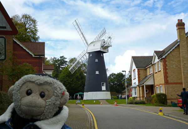 Mooch monkey at Shirley Windmill