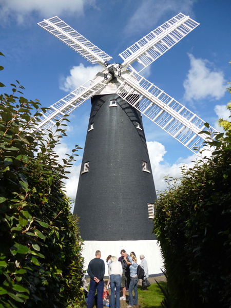 Mooch monkey - visitors at the Shirley Windmill