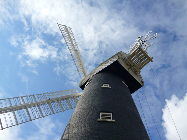 Mooch monkey visits the Shirley Windmill