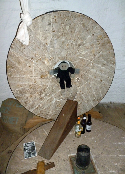 Mooch monkey sits on a millstone at the Shirley Windmill