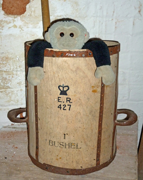 Mooch monkey in a measuring bin at the Shirley Windmill