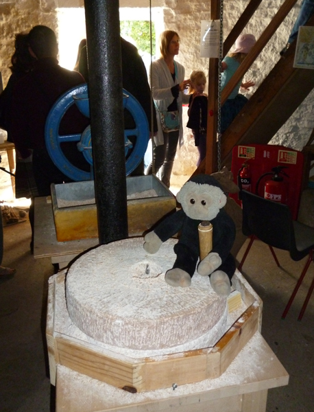 Mooch monkey grinding flour at the Shirley Windmill