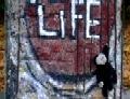 Mooch at the Berlin Wall