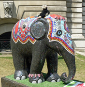 London Elephant Parade - 066 Phoolan.