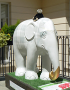 London Elephant Parade - 072 Belle.