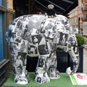 London Elephant Parade - 105 elephant ladyland