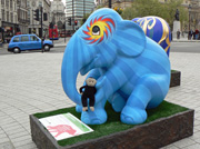 London Elephant Parade - 145 Mumbai Indians.