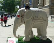 London Elephant Parade - 185 Less is Morvi