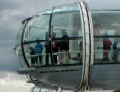 Bonsai takes Annie on the London Eye