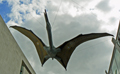 Mooch hunts pterosaurs in London