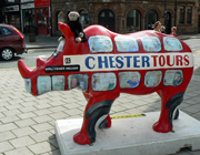Chester Rhino Mania - 004 Hollyoaks Omnibus