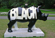 Chester Rhino Mania - 005 5 Black and White 'Extinct'