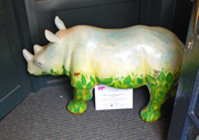 Chester Rhino Mania - 006 Enviro-Rhino