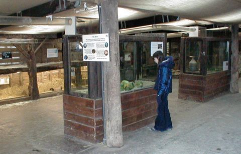 Annie looks at the rats in the barn