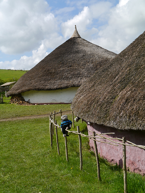 Mooch monkey at Butser Ancient Farm - Iron Age buildings