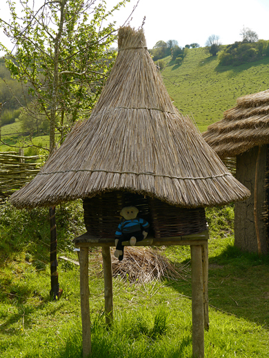 Mooch monkey at Butser Ancient Farm - a small Iron Age building