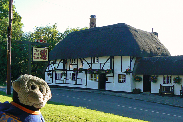 Mooch monkey at The Red Lion pub in Chalton