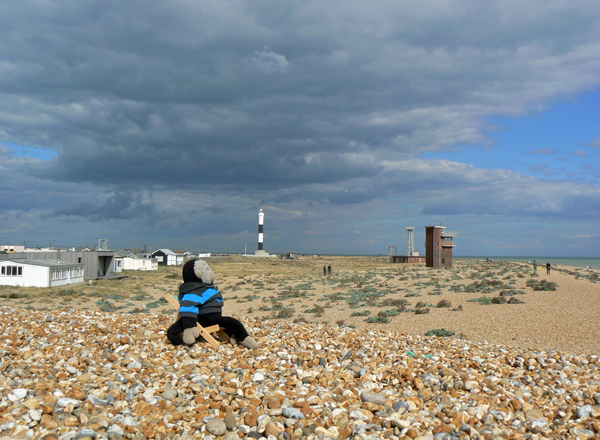 Mooch monkey sits in his deckchair on the Dungeness beach.