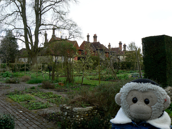 Mooch monkey in the garden of Gilbert White's House.