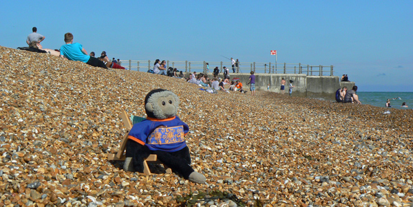 Mooch monkey in a deckchair on Hastings beach.