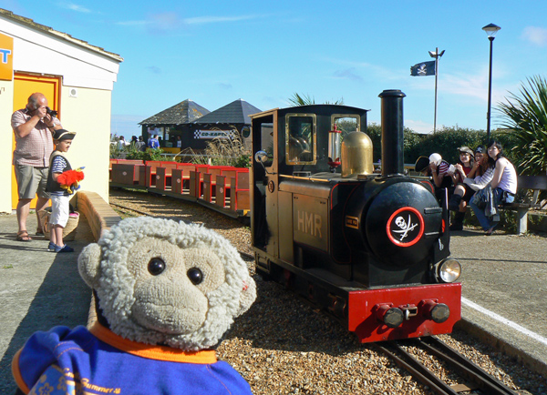 Mooch monkey at the Hastings Miniature Railway on Pirate Day.