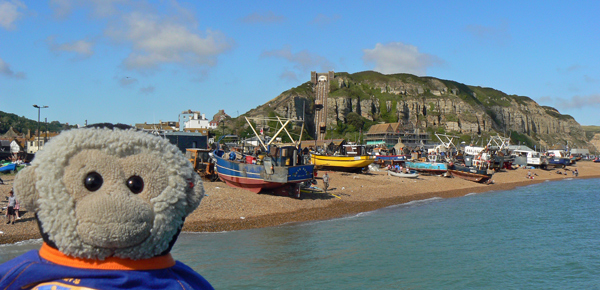 Mooch monkey at Hastings beach.