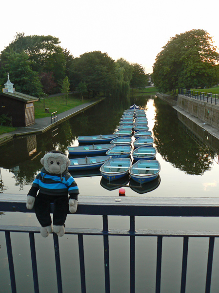 Mooch monkey at the Royal Military Canal in Hythe.