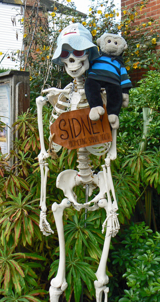 Mooch monkey sits on Sydney, a a skeleton in Hythe.