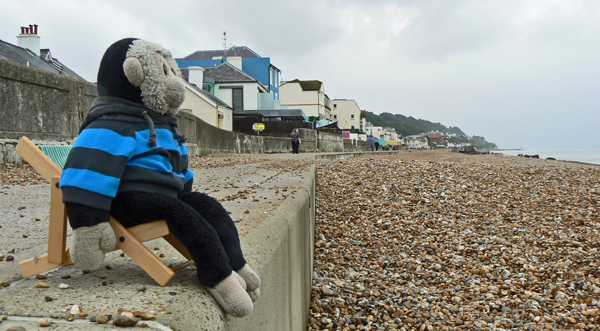Mooch monkey sits in his deckchair on the beach at Sandgate in Kent.