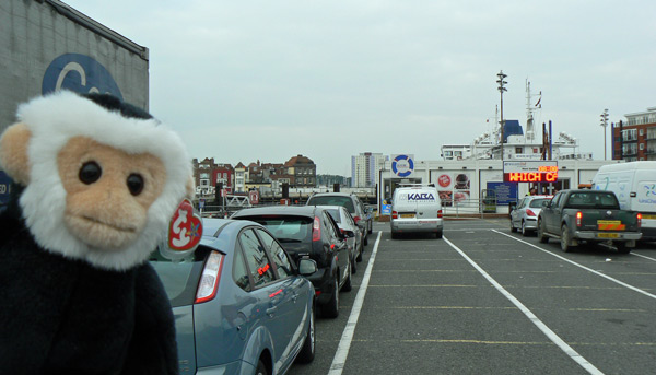 Mina monkey checks the queue for the vehicle ferry.
