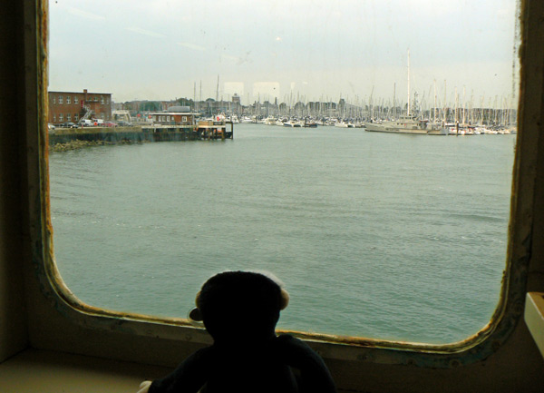 Mina monkey looks out at one of the yacht basins.