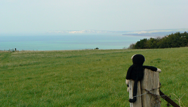 Mooch monkey looks towards the south west coast of the Isle of Wight.