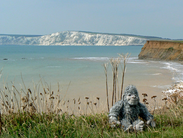 Yeti on the south west coast of the Isle of Wight.