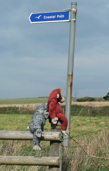 Yeti and Big Mama Schweetheart on the coastal path of the Isle of Wight.