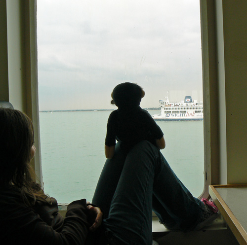 Mina monkey watches as a ferry passes.