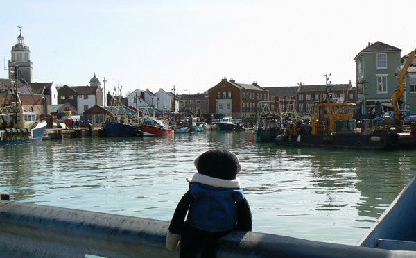 Mooch Mooch monkey looks at fishing boats in Portsmouth old harbour.