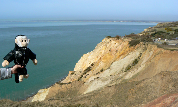 Monty Mooch monkey at Alum Bay.