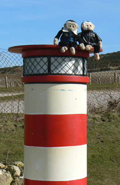 Mooch and Monty monkeys sit on a model of the Needles lighthouse.