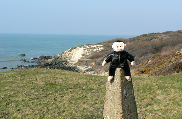 Monty Mooch monkey at Watershoot Bay, Isle of Wight.